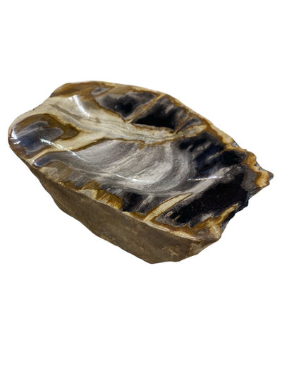 Petrified Wood Bowl