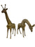 Hollywood Regency Brass Giraffes (the pair) Medium