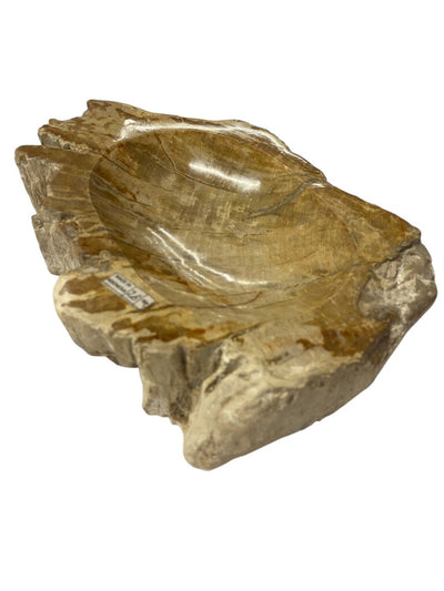 Petrified Wood Bowl