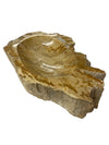 Petrified Wood Bowl