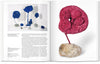 Taschen Basic Art Series YVES KLEIN