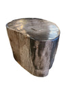 Petrified Wood Side Table