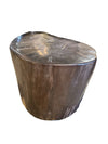 Petrified Wood Side Table